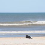 Thursday Late Afternoon @ St. Augustine Beach