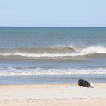 Thursday Late Afternoon @ St. Augustine Beach