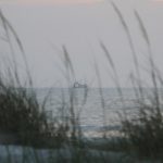 Tuesday early morning @ St. Augustine Beach