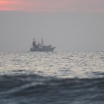 Tuesday early morning @ St. Augustine Beach