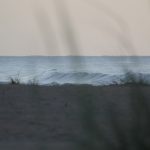 Thursday early morning @ St. Augustine Beach