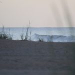 Thursday early morning @ St. Augustine Beach