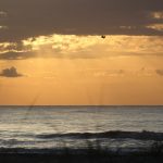 Thursday early morning @ St. Augustine Beach