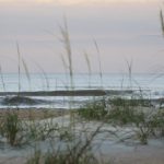 Thursday early morning @ St. Augustine Beach