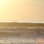 Thursday early morning @ St. Augustine Beach