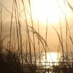 Thursday early morning @ St. Augustine Beach