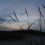 Tuesday early morning @ St. Augustine Beach