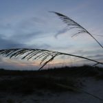 Tuesday early morning @ St. Augustine Beach