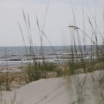 Wednesday Afternoon @ St. Augustine Beach ( + an evening note below)