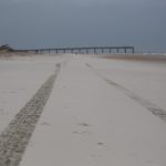 Wednesday Afternoon @ St. Augustine Beach ( + an evening note below)