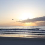 Thursday early morning @ St. Augustine Beach