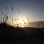 Thursday early morning @ St. Augustine Beach