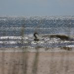 Thursday Late Morning to Mid Day @ St. Augustine Beach