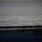 Friday, 1/15/21 Dawn Patrol