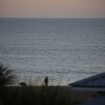 Friday, 1/15/21 Dawn Patrol