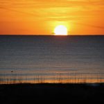 Saturday, 1/16/21 Dawn Patrol