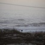 Monday, 2/22/21  Dawn Patrol