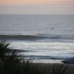 Thursday, 3/04/21  Dawn Patrol