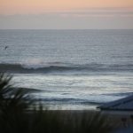 Thursday, 3/04/21  Dawn Patrol