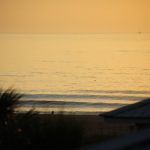 Wednesday 5/12/21 Dawn Patrol