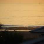 Wednesday 5/12/21 Dawn Patrol