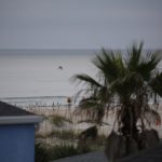 Friday 7/30/21  Dawn Patrol