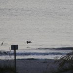 Sunday 8/1/21  Dawn Patrol