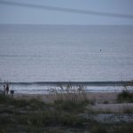 Monday 8/2/21  Dawn Patrol