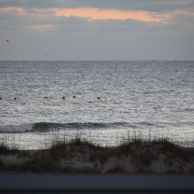 Tuesday 1/18/22 Dawn Patrol