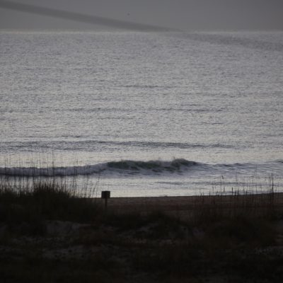 Thursday 1/20/22 Dawn Patrol