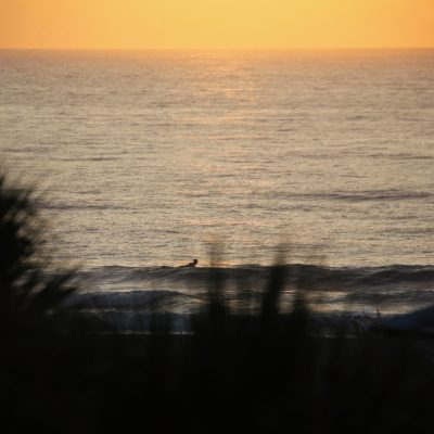 Tuesday 6/28/22 Dawn Patrol