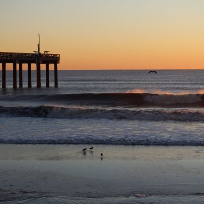 Sunday 10/02/22 Dawn Patrol