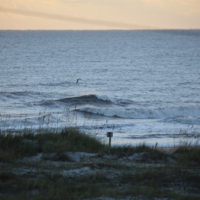 Monday 10/03/22 Dawn Patrol